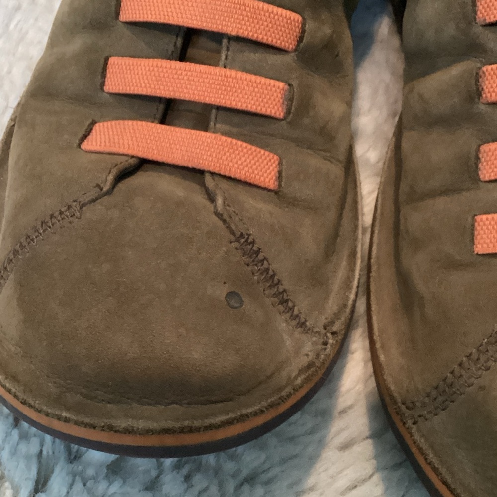 Camper Beetle - image 8